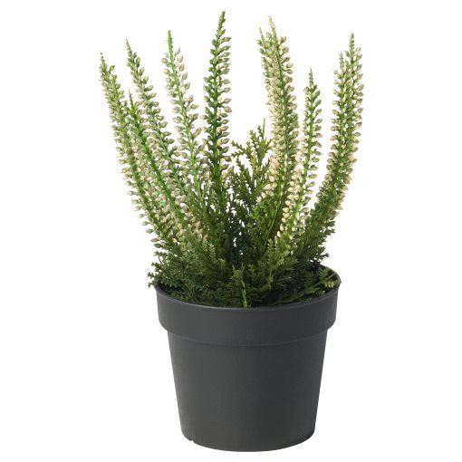 FEJKA, artificial potted plant/in/outdoor/Heather, 9 cm, 705.825.04
