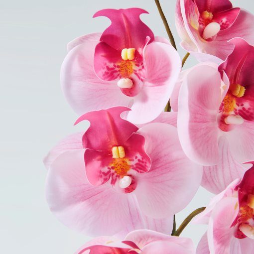 SMYCKA, artificial flower/in/outdoor/Orchid, 60 cm, 705.871.58