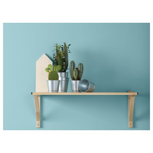 BINTJE, κασπό, 803.341.27