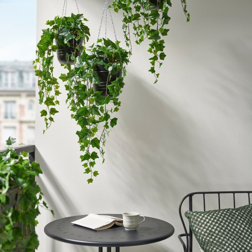 FEJKA, artificial potted plant in/outdoor hanging/Ivy, 15 cm, 806.008.52
