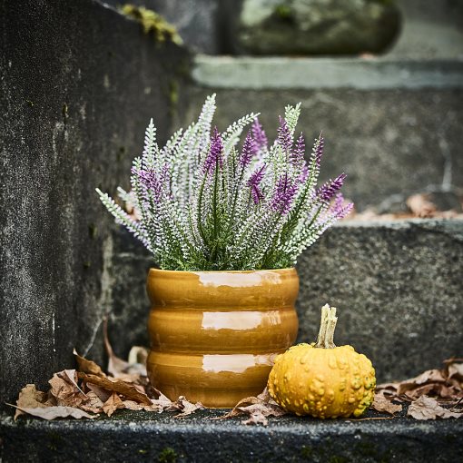 HASSELBUKETT, plant pot in/outdoor, 12 cm, 806.218.21