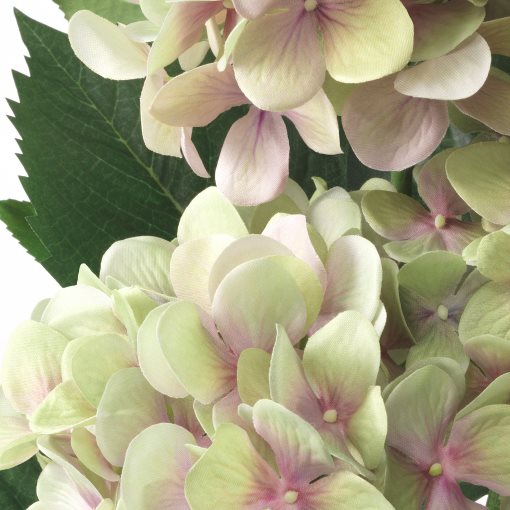 FEJKA, τεχνητό φυτό σε γλάστρα εσωτερικού/εξωτερικού χώρου/Ορτανσία, 12 cm, 905.054.06