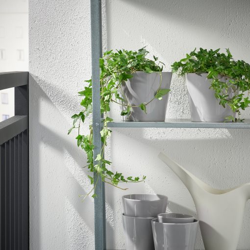 SKOGSVINBÄR, plant pot in/outdoor, 15 cm, 905.084.43