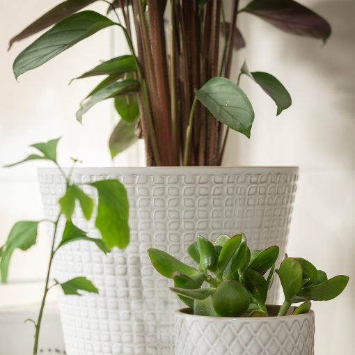 CHIAFRÖN, plant pot, 004.419.04