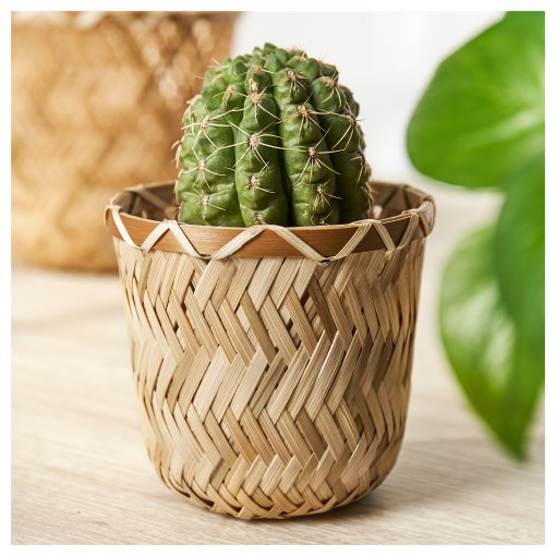 KLYNNON, plant pot handmade, 9 cm, 205.232.39
