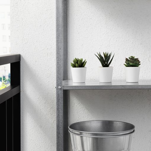 FEJKA, artificial potted plant with pot/in/outdoor Succulent/3 pack, 6 cm, 505.197.64