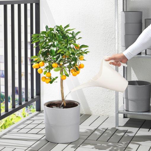 IKEA PS 2002, watering can, 602.899.46