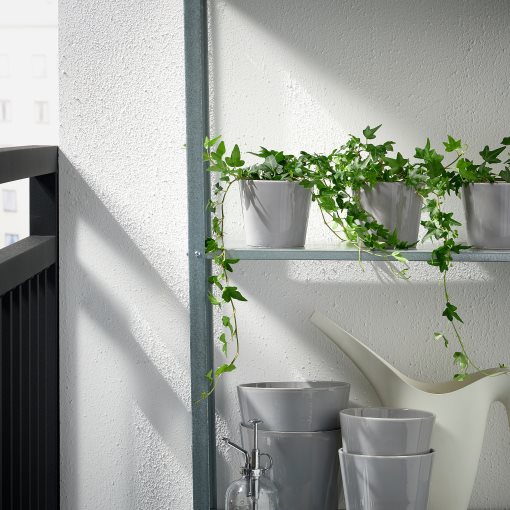 SKOGSVINBÄR, plant pot in/outdoor, 9 cm, 805.084.48