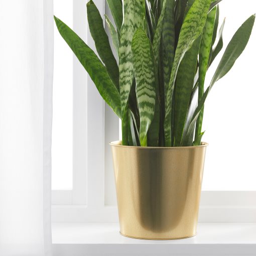 DAIDAI, plant pot, 903.594.19