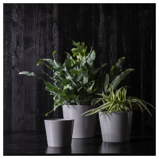 SKOGSVINBÄR, plant pot in/outdoor, 15 cm, 905.084.43