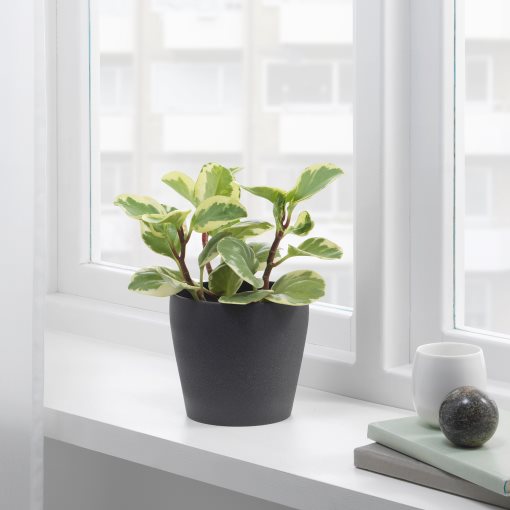 PERSILLADE, plant pot, 003.157.26