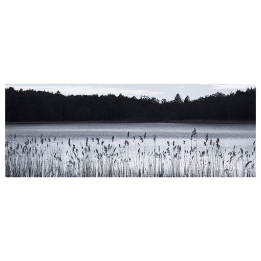 BJÖRKSTA, picture Woodland lake, 140x56 cm, 104.798.64
