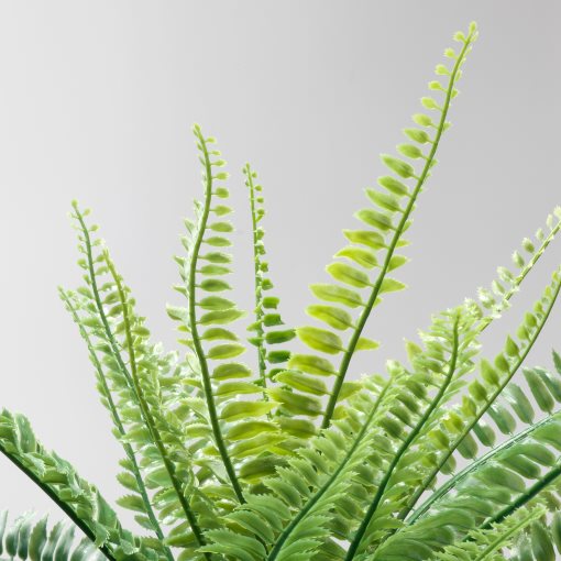 FEJKA, artificial potted plant in/outdoor, fern, 304.339.45