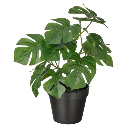 FEJKA, artificial potted plant in/outdoor Monstera,, 304.933.50