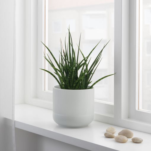 GRADVIS, plant pot, 404.140.79
