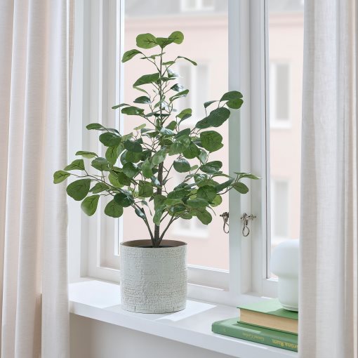 FEJKA, τεχνητό φυτό σε γλάστρα εσωτερικού/εξωτερικού χώρου/φίκος, 15 cm, 005.229.76