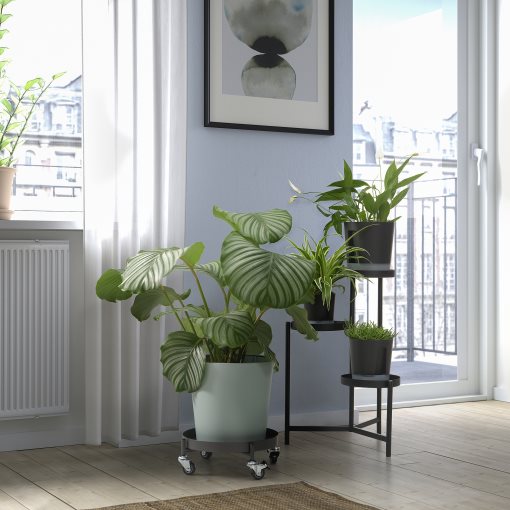 OLIVBLAD, plant mover in/outdoor, 32 cm, 005.855.77
