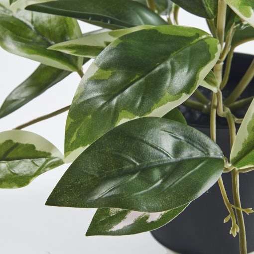 FEJKA, artificial potted plant in/outdoor/Wax plant hanging, 9 cm, 005.932.14