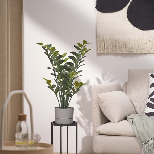 FEJKA, artificial potted plant in/outdoor/Aroid palm, 15 cm, 005.932.28