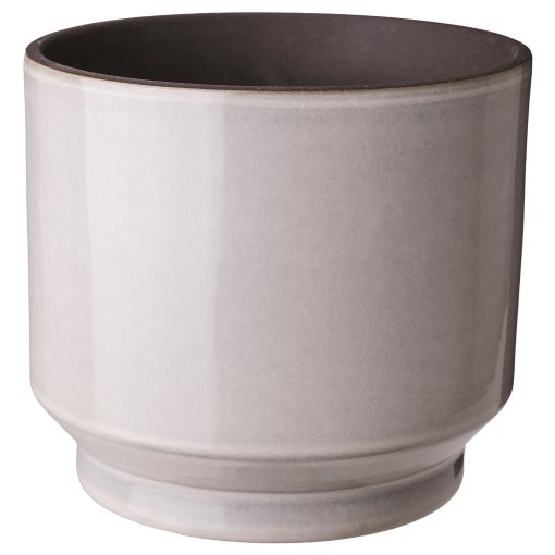 HONUNGSPALM, plant pot in/outdoor, 15 cm, 005.957.98