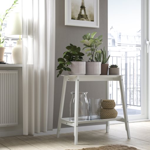 HONUNGSPALM, plant pot in/outdoor, 15 cm, 005.957.98
