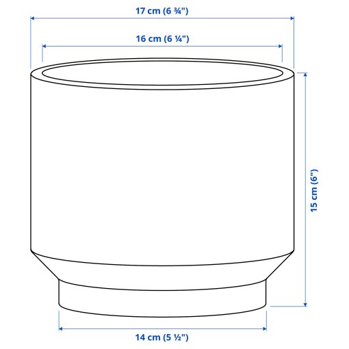 HONUNGSPALM, plant pot in/outdoor, 15 cm, 005.957.98