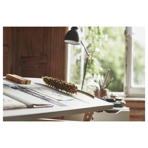 LAGKAPTEN, table top, 120x60 cm, 104.606.66