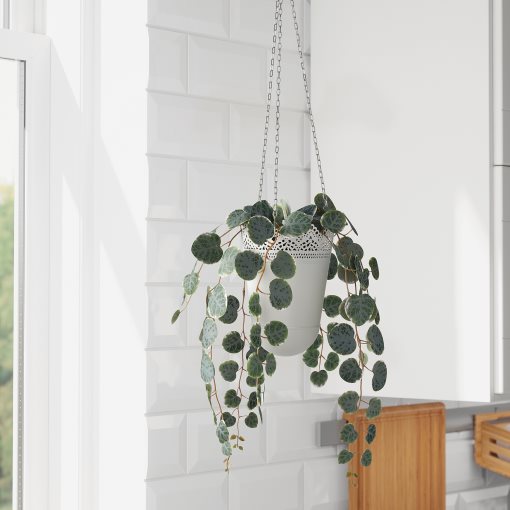 FEJKA, artificial potted plant, in/outdoor hanging/String of hearts, 104.611.33