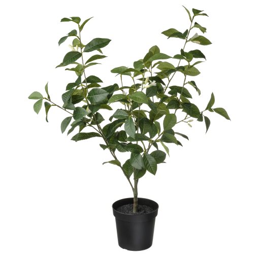 FEJKA, artificial potted plant/in/outdoor/lemon, 15 cm, 105.380.00