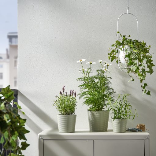 BROKSPIREA, plant pot, 12 cm, 105.865.95