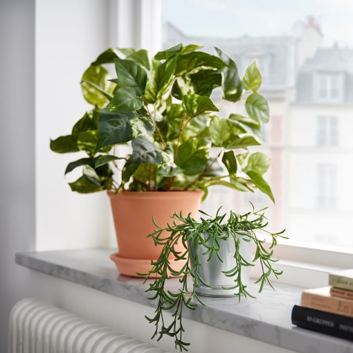 FEJKA, artificial potted plant in/outdoor/string of bananas hanging, 9 cm, 205.084.08