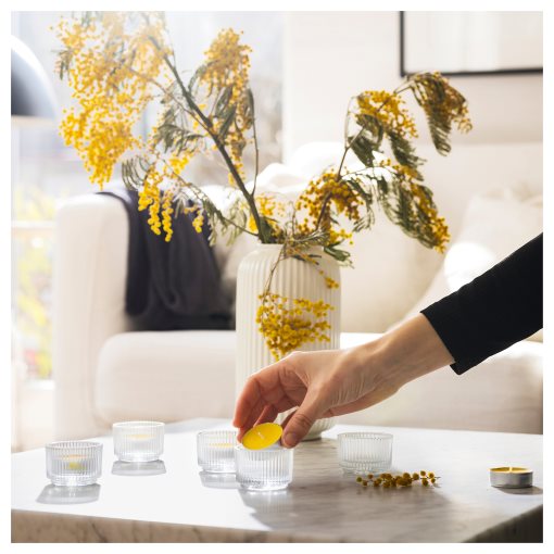SVARTOXBÄR, scented tealight/Mimosa/30 pack, 3.5 hr, 205.826.67