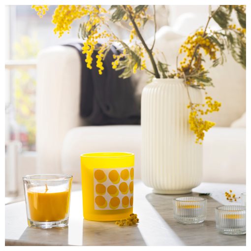 SVARTOXBÄR, scented tealight/Mimosa/30 pack, 3.5 hr, 205.826.67