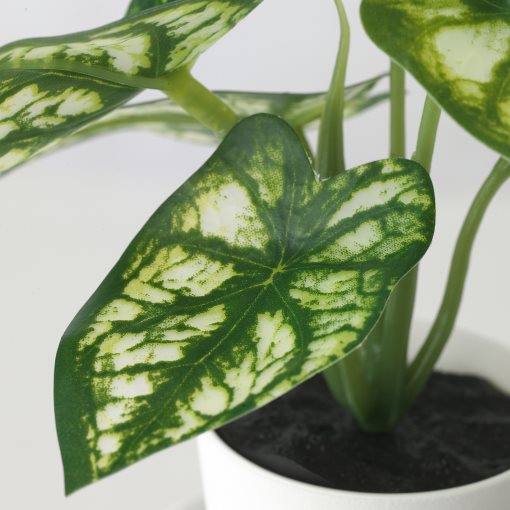 FEJKA, τεχνητό φυτό με κασπό εσωτερικού/εξωτερικού χώρου/μπιγκόνια, σετ 3 τεμ., 305.596.47