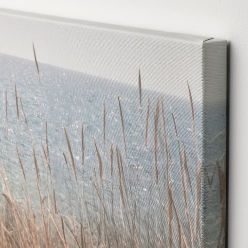 PJÄTTERYD, picture/Swedish sand dunes/3 pack, 56x56 cm, 406.020.18