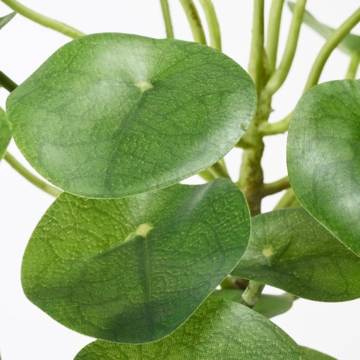 FEJKA, artificial potted plant in/outdoor/Pilea, 12 cm, 503.953.15