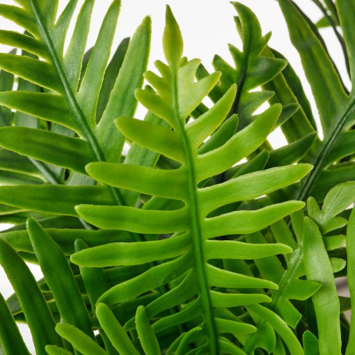 FEJKA, τεχνητό φυτό σε γλάστρα εσωτερικού/εξωτερικού χώρου πολυπόδιο, 9 cm, 504.933.49
