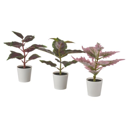 FEJKA, artificial potted plant with pot in/outdoor/Painted nettle set of 3, 6 cm, 505.229.88