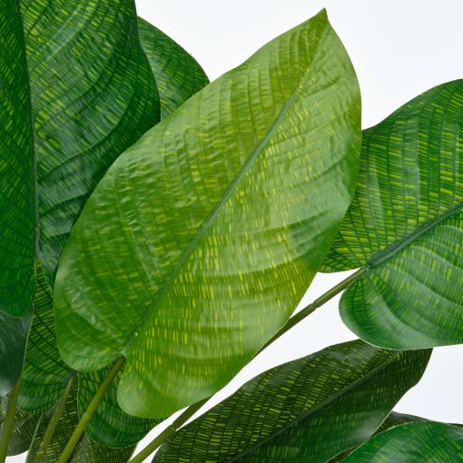 FEJKA, artificial potted plant in/outdoor/calathea, 12 cm, 506.008.63