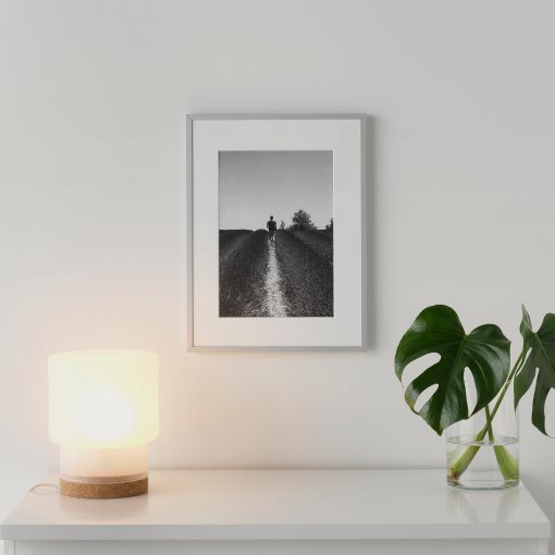 LOMVIKEN, frame, 30x40 cm, 603.143.14