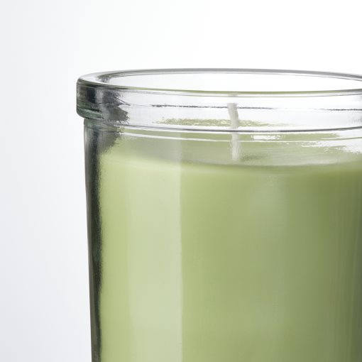 LOVSKOGSLUND, scented candle in glass/apple, 40 hr, 605.820.57