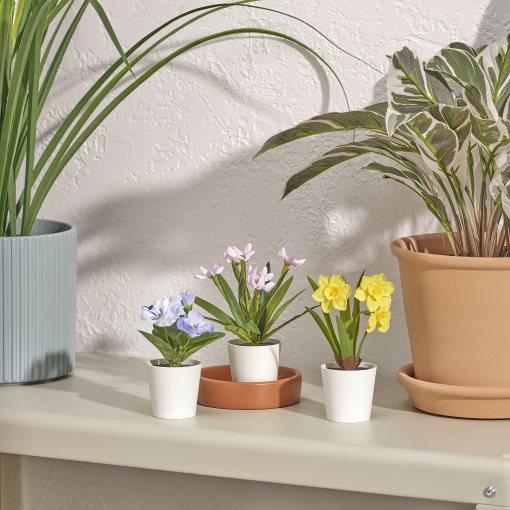 FEJKA, artifi potted plant with pot in/outdoor/flower/set of 3, 6 cm, 605.931.93