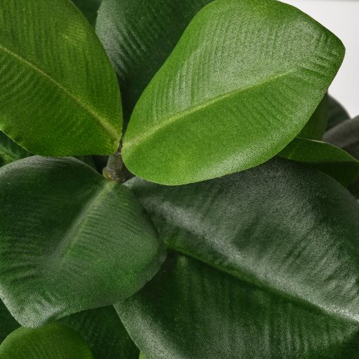 FEJKA, τεχνητό φυτό σε γλάστρα εσωτερικού/εξωτερικού χώρο,  Κλούσια 12 cm, 704.933.48