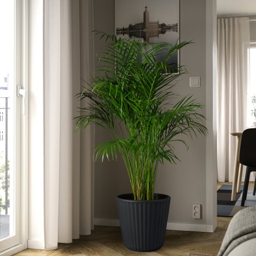 BJORNBAMBU, plant pot in/outdoor, 32 cm, 705.847.63