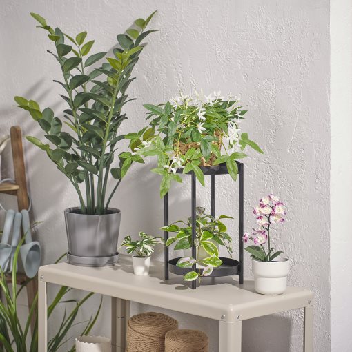 FEJKA, artificial potted plant in/outdoor/Noble Dendrobium, 12 cm, 705.932.20