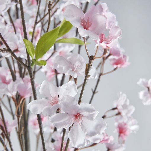 FEJKA, artificial potted plant in/outdoor/Cherry-blossoms, 19 cm, 705.932.39