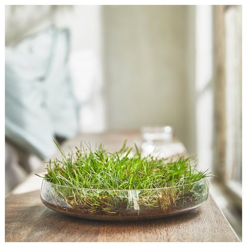 HEDERSAM, scented potpourri/Fresh grass, 90 g, 805.027.43