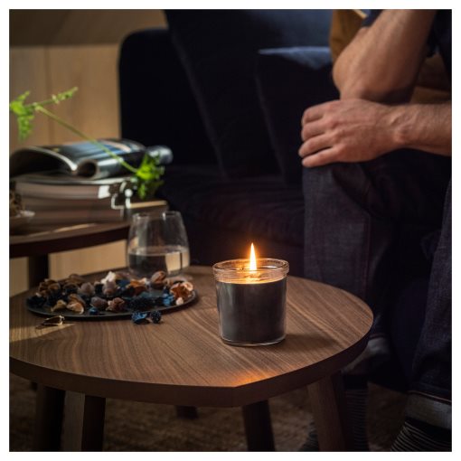 FRUKTSKOG, αρωματικό κερί σε ποτήρι/Βέτιβερ & γεράνι, 20 ώρες, 805.558.35