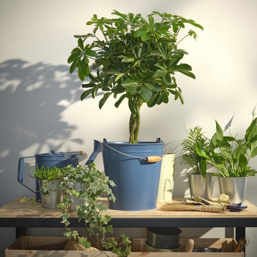 ÅKERBÄR, bucket/plant pot in/outdoor, 10 l, 805.847.91