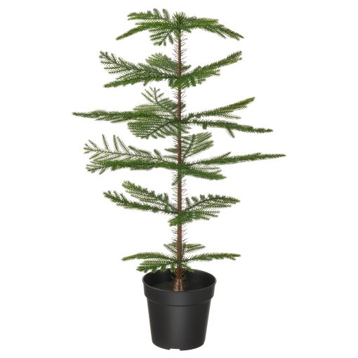 FEJKA, artificial potted plant in/outdoor/Norfolk island pine, 15 cm, 905.229.91